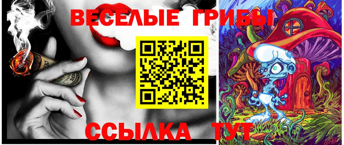 Псилоцибиновые грибы Magic Shrooms  Псилоцибиновые грибы GOLDEN TEACHER  Отрадное  Вход с VPN 
